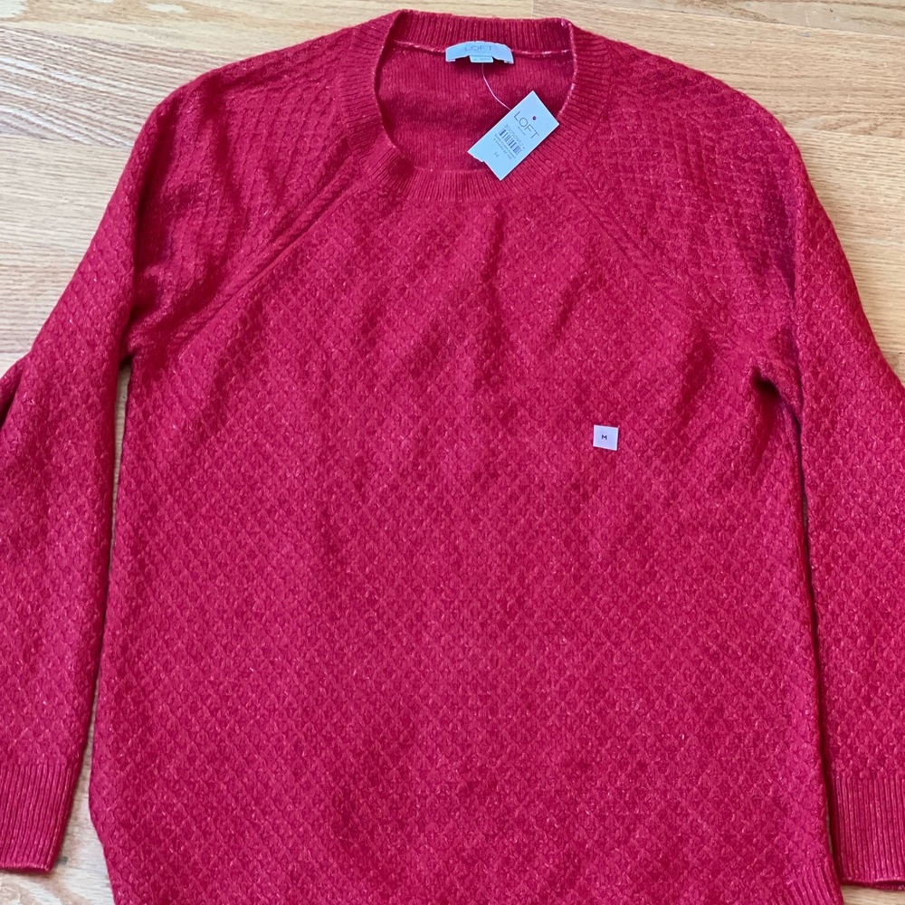 NWT Loft Outlet Sweater